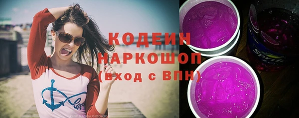 гашик Алексин