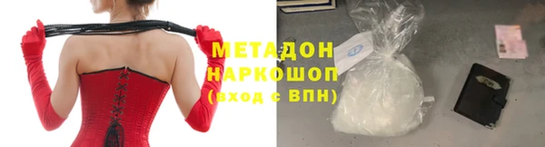 гашик Алексин