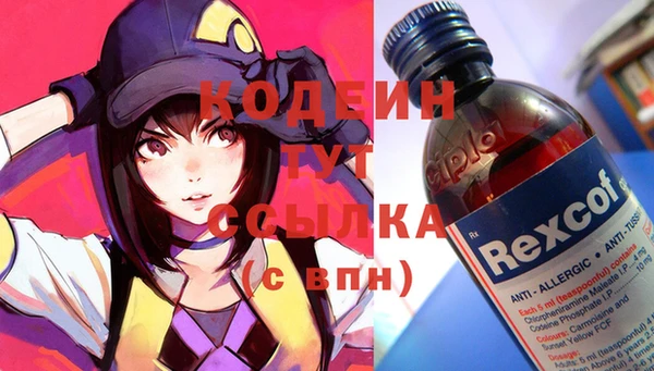 гашик Алексин