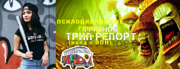 ПСИЛОЦИБИНОВЫЕ ГРИБЫ Алексеевка