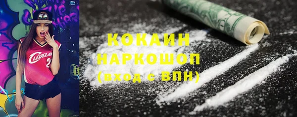 гашик Алексин