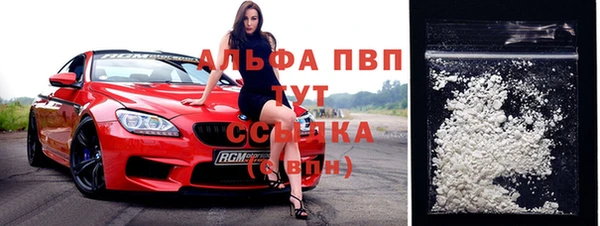 гашик Алексин